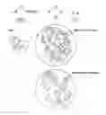 Fig. 01 - Salt Coated With Nanoparticles