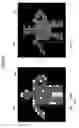 Fig. 20 - Distance measuring apparatus and distance measuring method