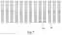 Fig. 05 - Piezoelectric element having improved sensitivity, method for manufacturing the same and piezoelectric sensor