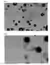 Fig. 02 - METHOD FOR PICKING A COLONY OF CELLS