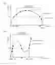 Fig. 05 - Data processing device for quantitation