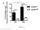 Fig. 02 - Methods and kits for labeling, detection and isolation of Foxp3 regulatory T cells, isolated population of Foxp3 regulatory T cells thus obtained and uses thereof