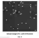 Fig. 06 - Compositions and methods for disease diagnosis using single cell analysis