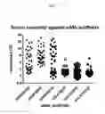 Fig. 04 - SINGLE CHAIN PROTEINS WITH C-TERMINAL MODIFICATIONS