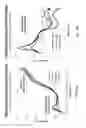 Fig. 09 - Ultra-sensitive bioanalyte quantification from self-assembled quadruplex tags