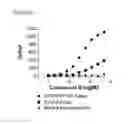 Fig. 03 - Screening assays to identify compounds which modulate T1R associated taste modalities which eliminate false positives
