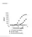 Fig. 06 - Screening assays to identify compounds which modulate T1R associated taste modalities which eliminate false positives