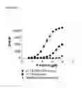 Fig. 07 - Screening assays to identify compounds which modulate T1R associated taste modalities which eliminate false positives