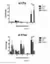 Fig. 06 - Methods for detecting and treating fungal infections