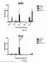 Fig. 07 - Methods for detecting and treating fungal infections