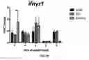 Fig. 08 - Methods for detecting and treating fungal infections