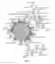 Fig. 12 - Methods for detecting and treating fungal infections
