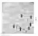 Fig. 05 - DIAGNOSTIC AND PROGNOSTIC METHODS FOR BARRETT'S ESOPHAGUS