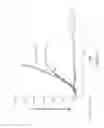 Fig. 33 - ANTIBODIES AND IMMUNOCONJUGATES AND USES THEREFOR