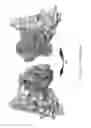 Fig. 37 - ANTIBODIES AND IMMUNOCONJUGATES AND USES THEREFOR