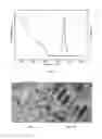 Fig. 02 - CONTINUOUSLY EMISSIVE CORE/SHELL NANOPLATELETS