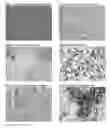 Fig. 06 - Multiples multiplex immunohistochemical assay using primary antibodies of the same host species