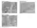 Fig. 09 - Multiples multiplex immunohistochemical assay using primary antibodies of the same host species