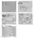 Fig. 16 - Multiples multiplex immunohistochemical assay using primary antibodies of the same host species