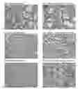 Fig. 22 - Multiples multiplex immunohistochemical assay using primary antibodies of the same host species