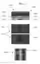 Fig. 08 - METHOD AND APPARATUS FOR ANALYZING AND FOR REMOVING A DEFECT OF AN EUV PHOTOMASK