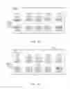 Fig. 13 - Apparatus, method, and system for testing IC chip