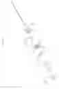 Fig. 03 - Lighting apparatus