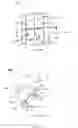Fig. 03 - Illumination device for direct-indirect illumination