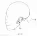 Fig. 35 - OPTICAL IMAGE CAPTURING SYSTEM