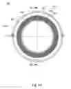 Fig. 19 - Annular optical element, imaging lens assembly, imaging apparatus and electronic device