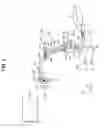 Fig. 02 - Surgical microscope device and surgical microscope system