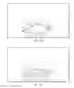 Fig. 21 - Polarized enhanced confidentiality
