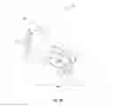 Fig. 29 - Polarized enhanced confidentiality