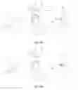Fig. 36 - Polarized enhanced confidentiality