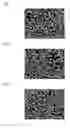 Fig. 02 - CARRIER CORE MATERIAL AND ELECTROPHOTOGRAPHIC DEVELOPMENT CARRIER USING SAME AND ELECTROPHOTOGRAPHIC DEVELOPER