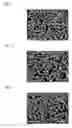 Fig. 03 - CARRIER CORE MATERIAL AND ELECTROPHOTOGRAPHIC DEVELOPMENT CARRIER USING SAME AND ELECTROPHOTOGRAPHIC DEVELOPER