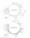 Fig. 03 - Liquid electro-photographic printing