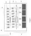Fig. 04 - System and method to dynamically change data center partitions