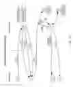 Fig. 102 - Operating environment with gestural control and multiple client devices, displays, and users