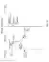 Fig. 78 - Operating environment with gestural control and multiple client devices, displays, and users