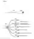 Fig. 50 - Wearable User Interface Device