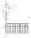 Fig. 05 - Display system and method of use