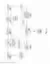 Fig. 02 - Automatic pre-detection of potential coding issues and recommendation for resolution actions