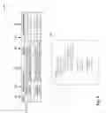 Fig. 06 - APPLICATION STORE OPTIMIZATION