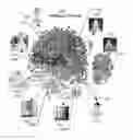 Fig. 01 - CATEGORY PREDICTION FROM SEMANTIC IMAGE CLUSTERING
