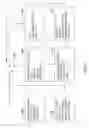 Fig. 04 - CATEGORY PREDICTION FROM SEMANTIC IMAGE CLUSTERING