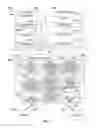 Fig. 14 - Parallel prediction of multiple image aspects