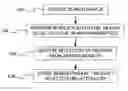 Fig. 01 - DYNAMIC ASSIGNMENT OF SEARCH PARAMETERS TO SEARCH PHRASES
