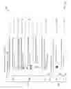 Fig. 05 - Searching multiple sellers by multiple matching items