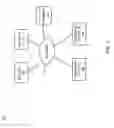 Fig. 02 - Role-relative social networking